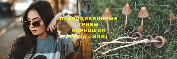 эйфоретик Тольятти