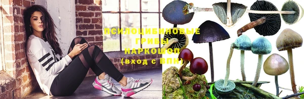 кокс Коряжма