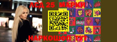 стафф Кандалакша