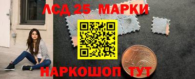 стафф Кандалакша