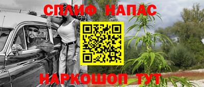 гашишное масло Берёзовский